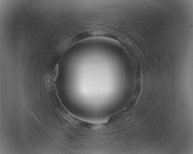 X0000056340521200508291319