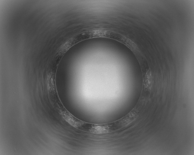 X0000056340522200508291319