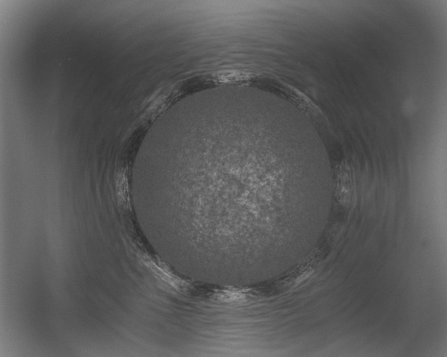 X0000056340523200508291319