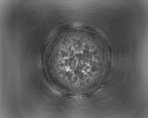 X0000056340524200508291319