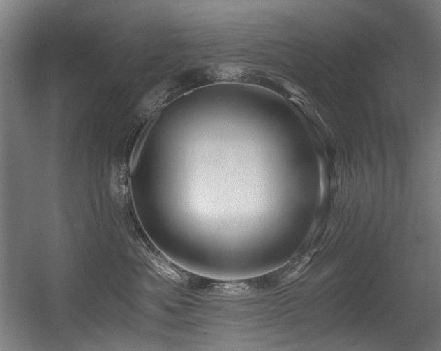 X0000056340525200508291319