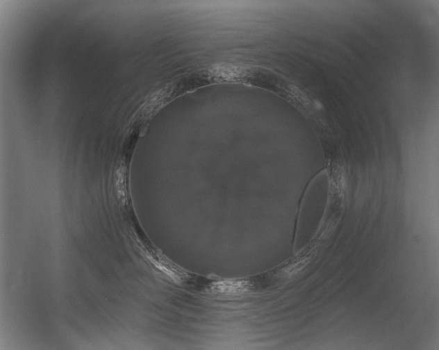 X0000056340526200508291319