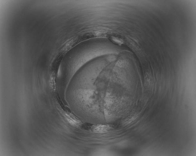 X0000056340527200508291319