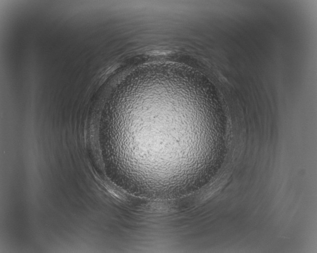 X0000056340528200508291319