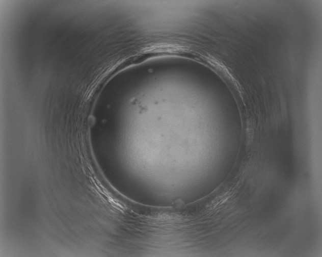 X0000056340529200508291318