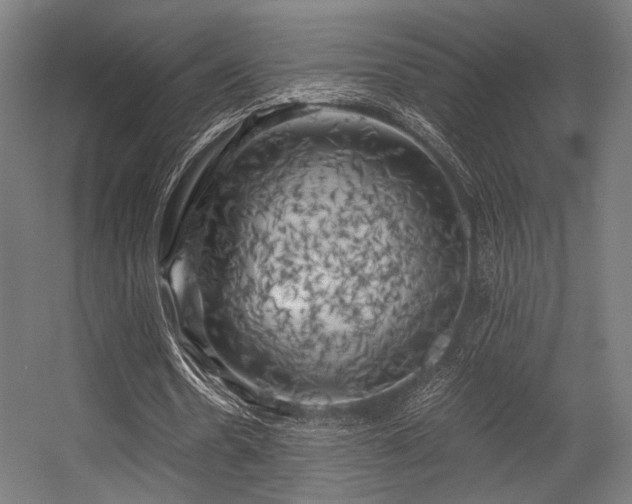 X0000056340530200508291318