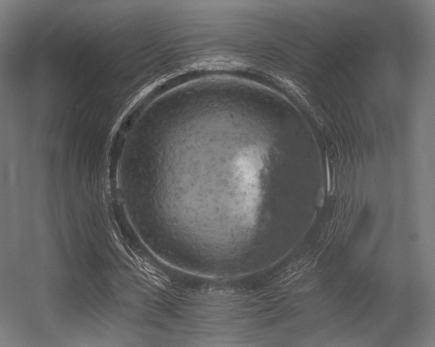 X0000056340531200508291318