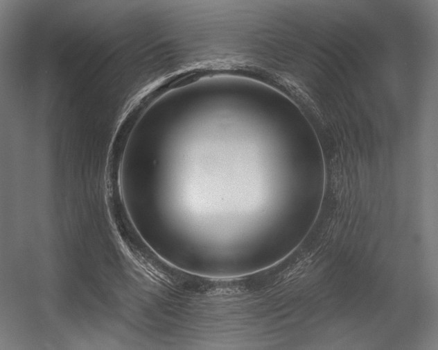 X0000056340536200508291318