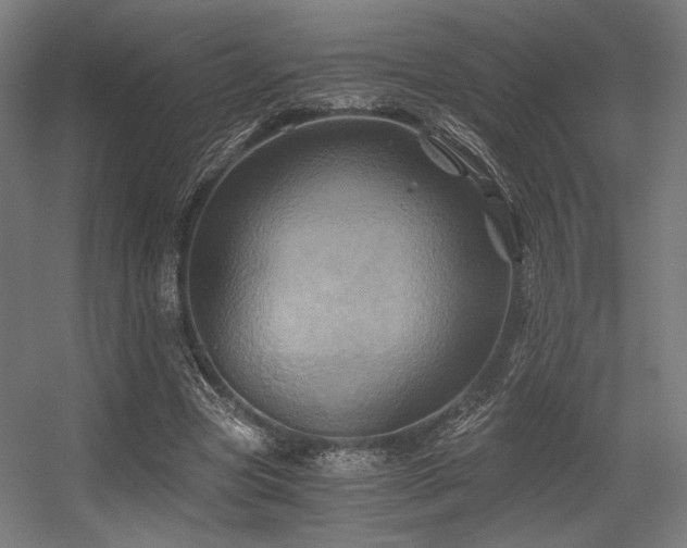 X0000056340537200508291318