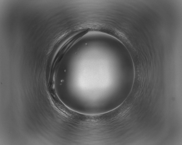 X0000056340538200508291318