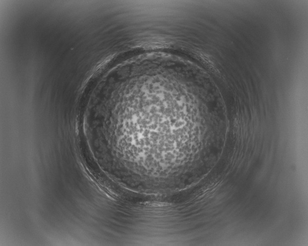 X0000056340539200508291318