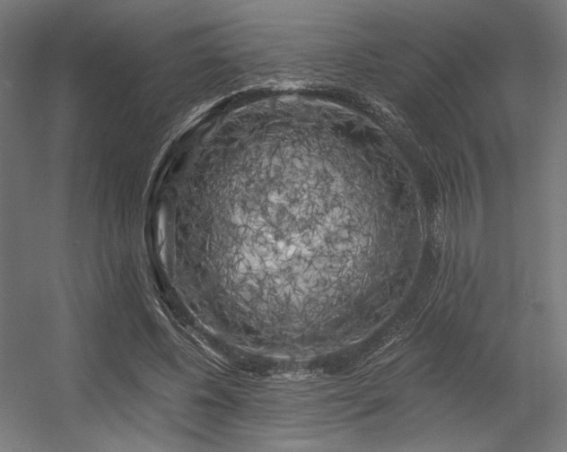 X0000056340540200508291318