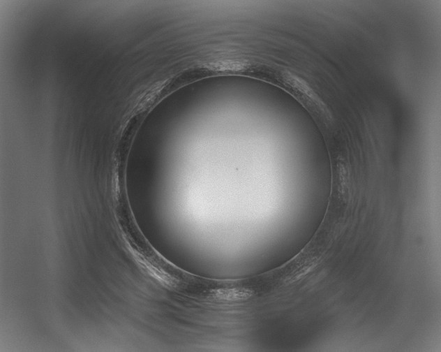 X0000056340541200508291318