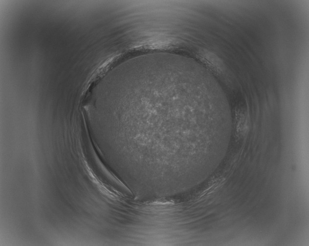 X0000056340542200508291318