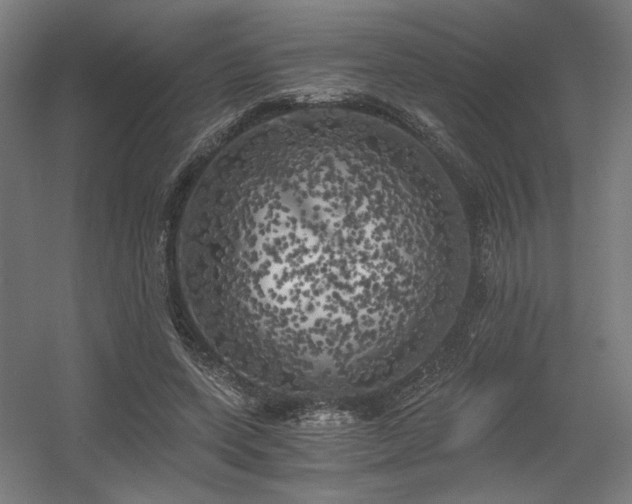 X0000056340543200508291318