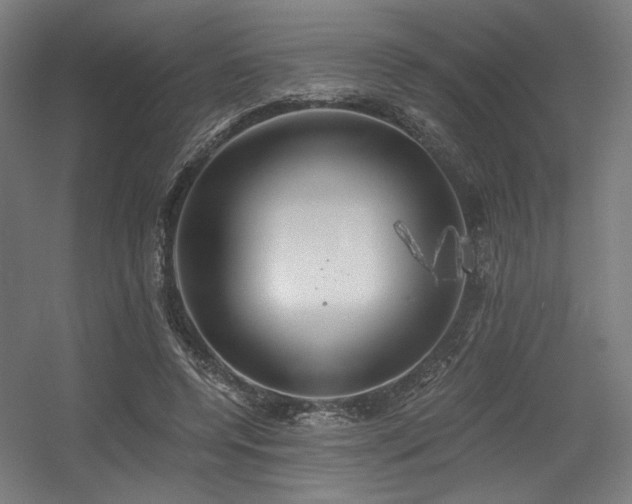 X0000056340544200508291318