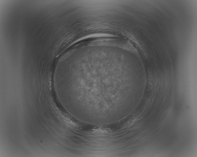 X0000056340545200508291318