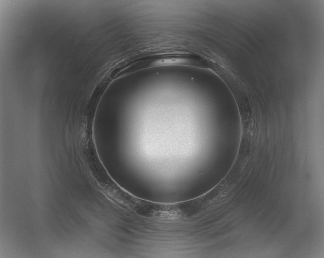 X0000056340548200508291318