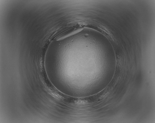 X0000056340549200508291318