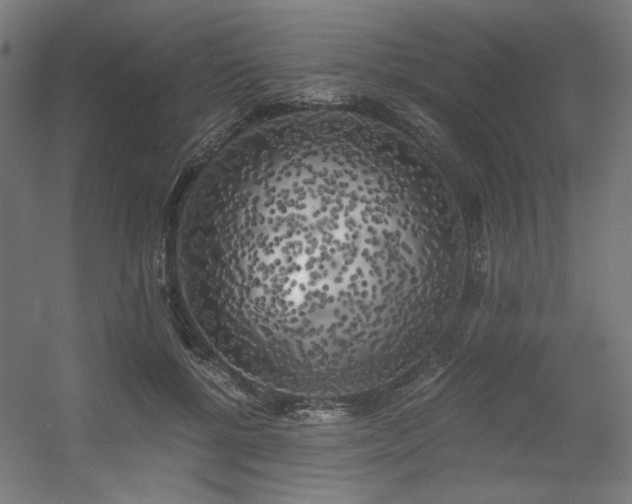 X0000056340552200508291318