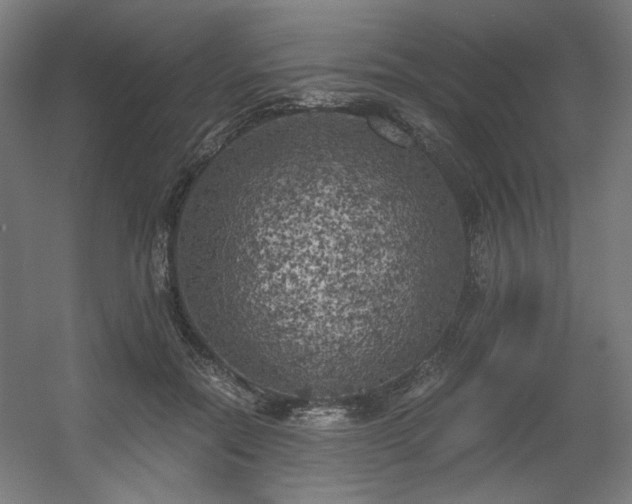 X0000056340554200508291318