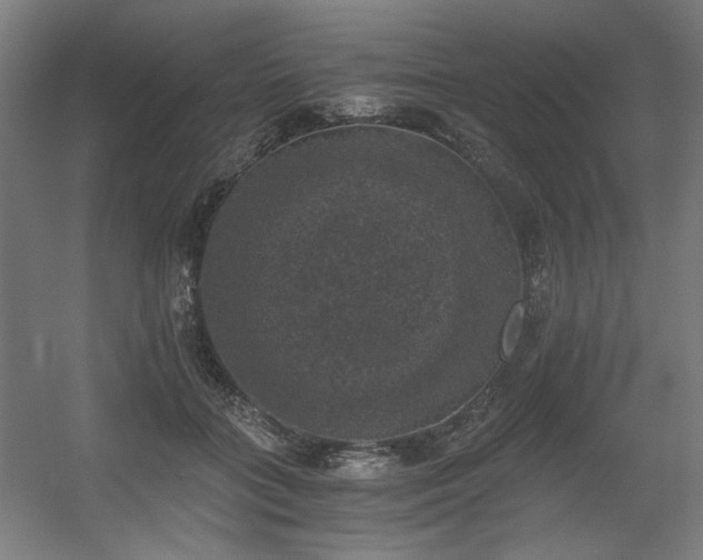 X0000056340555200508291318