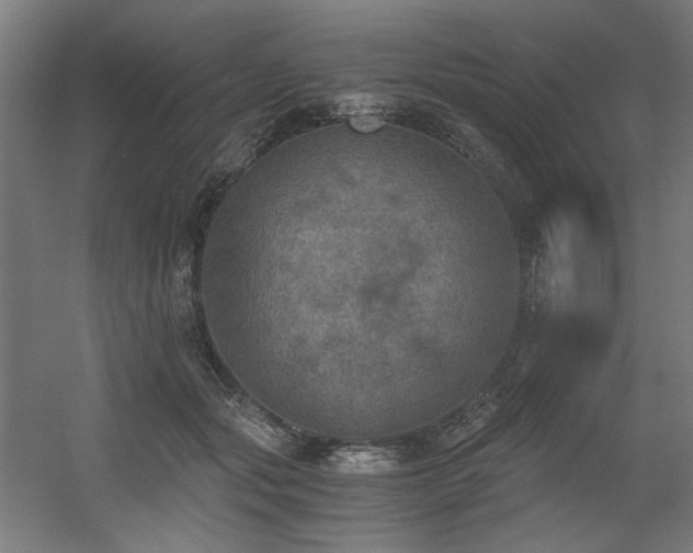 X0000056340557200508291318