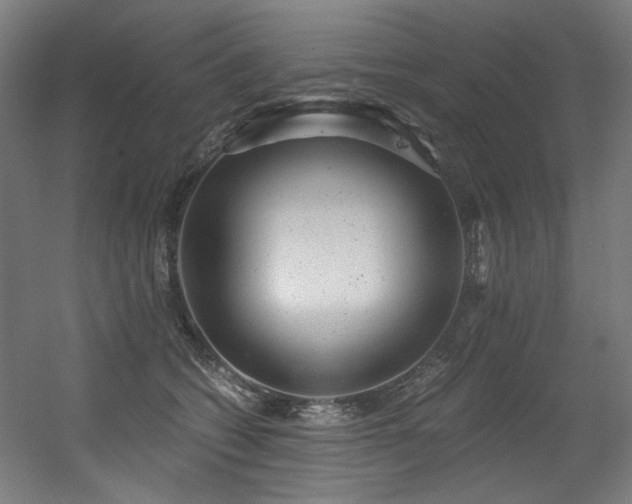 X0000056340562200508291318