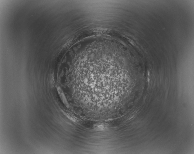 X0000056340564200508291318