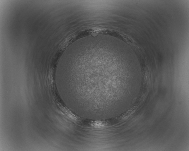 X0000056340565200508291318