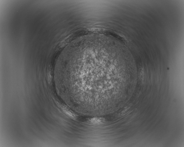 X0000056340566200508291318
