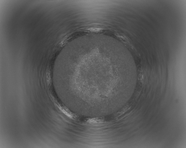 X0000056340568200508291319