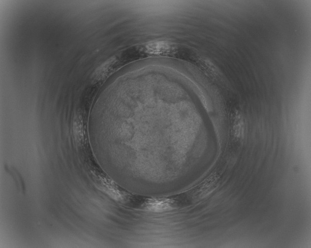 X0000056340569200508291319