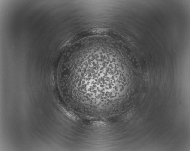 X0000056340572200508291319