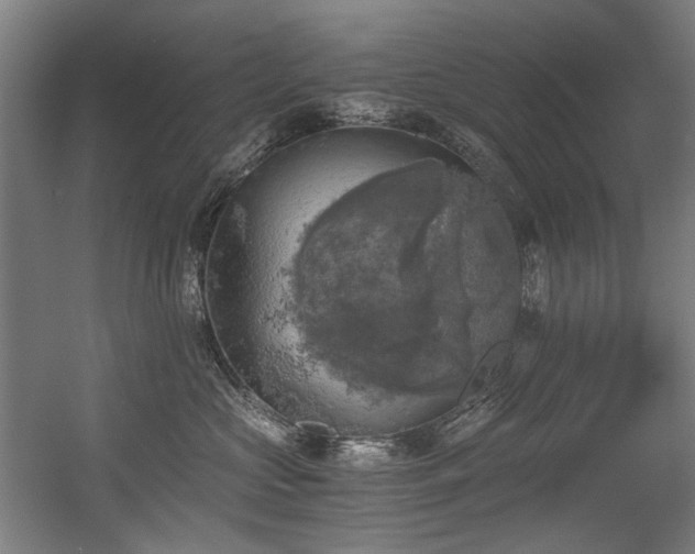 X0000056340573200508291319