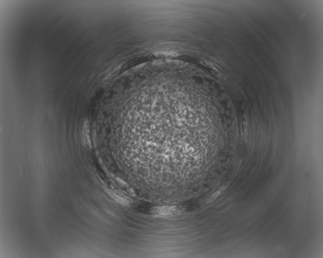 X0000056340575200508291319