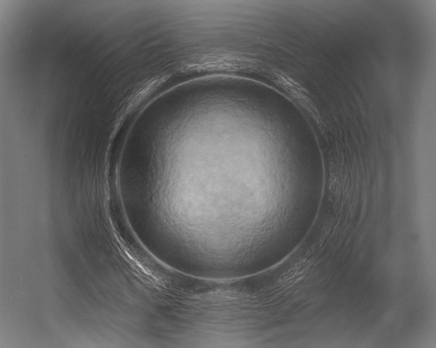 X0000056340578200508291318