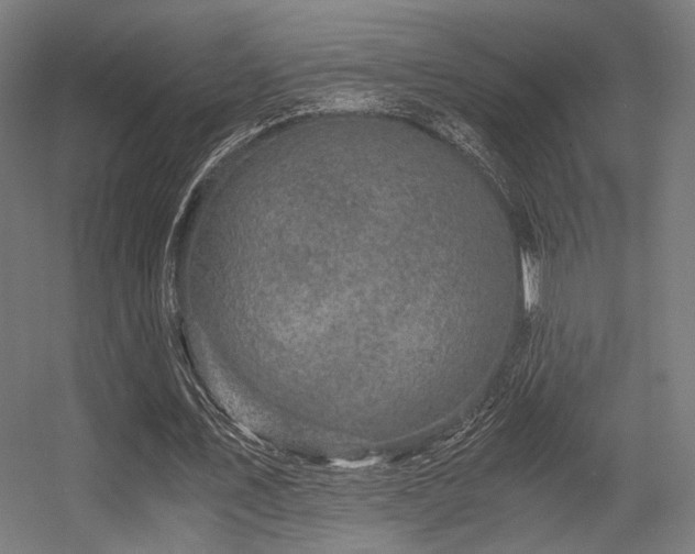 X0000056340579200508291318