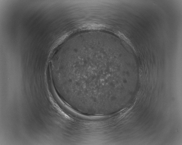 X0000056340581200508291318