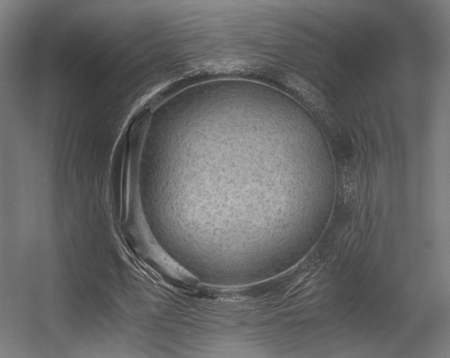 X0000056340583200508291318