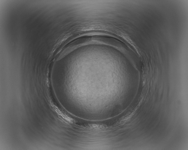 X0000056340585200508291318