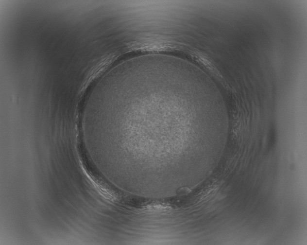 X0000056340586200508291318