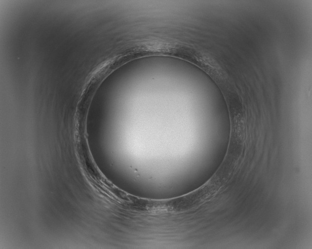 X0000056340587200508291318