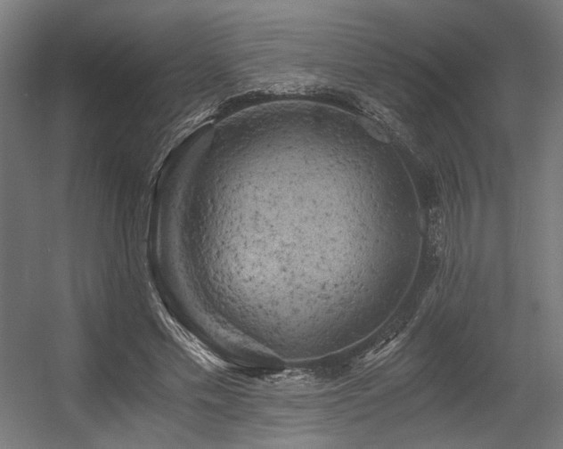 X0000056340589200508291318