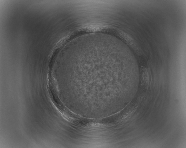 X0000056340590200508291318