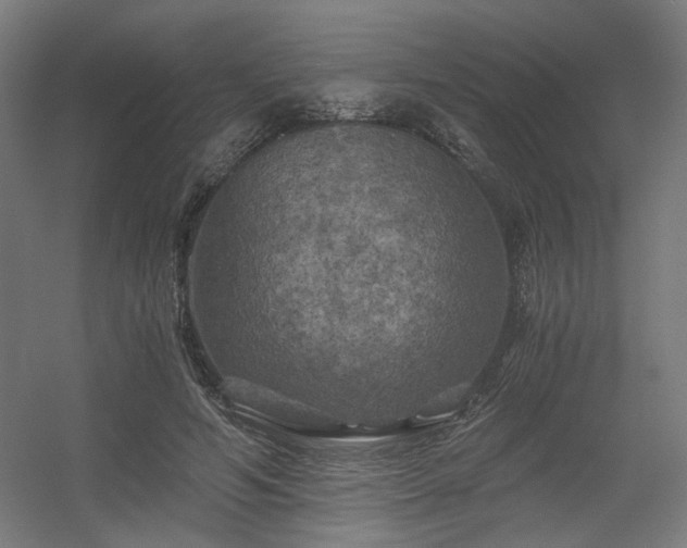 X0000056340594200508291318