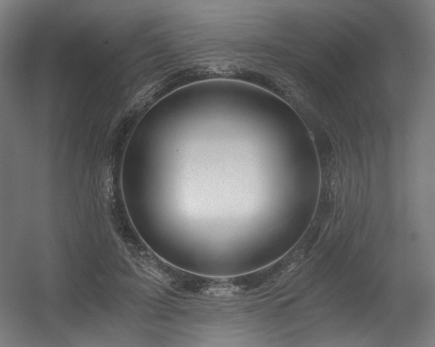 X0000056340595200508291318