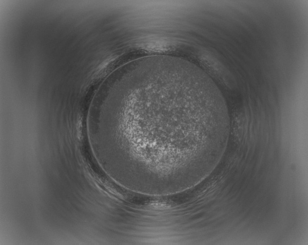 X0000056340596200508291318