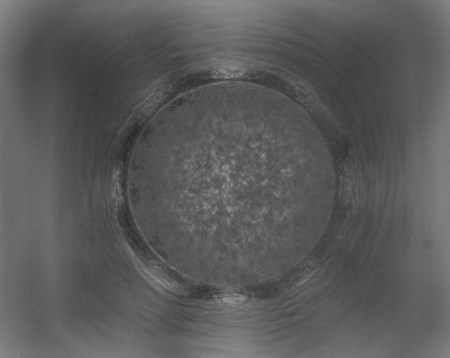 X0000056340598200508291317