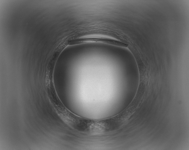 X0000056340599200508291317